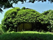 60 Il Roccolo Spadi avvolto nel verde